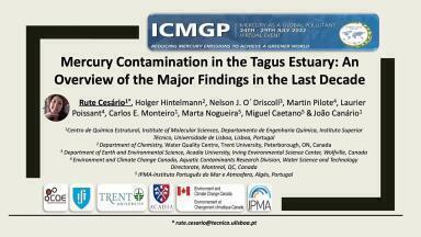 Suspended Particle Aggregates in Lakes as a Conducive Environment for Methylmercury Production